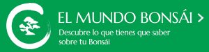 Comprar Bonsai Online Banner Promo Mundo Bonsai 3