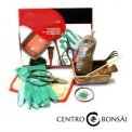 Kit Trasplante Bonsáis