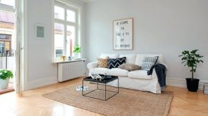 bonsai alicante precios