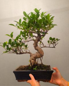 494351822 1250812047045023 8368572938913939759 n