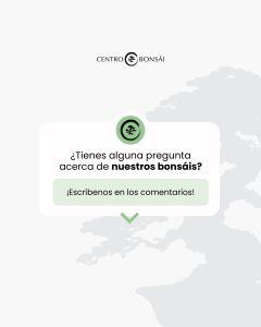 496004762 1258753489584212 5644411034220893538 n