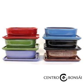 BASIC Tiesto ovalado 20 cm con plato colores