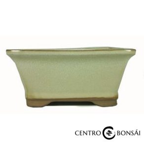 Tiesto rectangular 15.5 cm