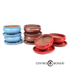 BASIC Tiesto oval 20 cm con plato colores