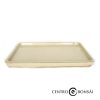 Plato rectangular 16 cm Color Crema