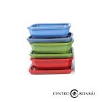 BASIC Tiesto ovalado 25 cm con plato colores