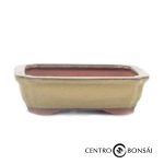 Tiesto rectangular 30 cm