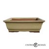 Tiesto rectangular 21 cm