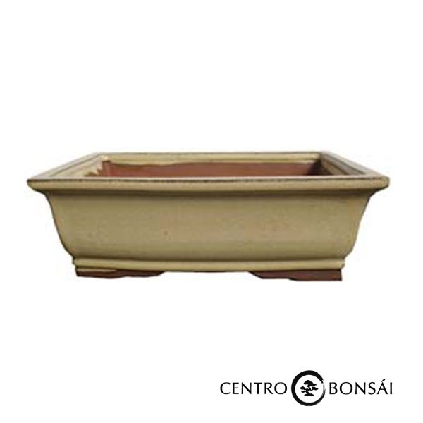Tiesto rectangular 21 cm