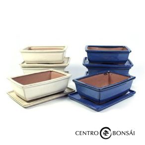 BASIC Tiesto rectangular 20 cm con plato colores