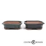 Tiesto rectangular 21 cm colores