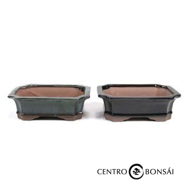 Tiesto rectangular 21 cm colores