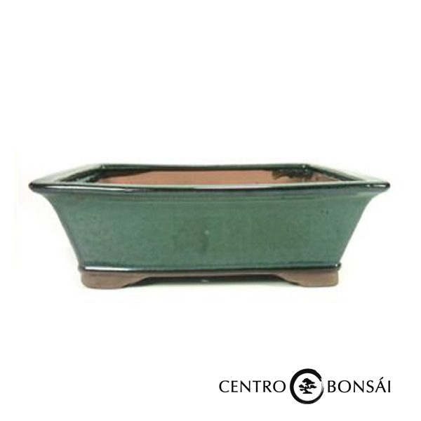 Tiesto rectangular 31 cm verde