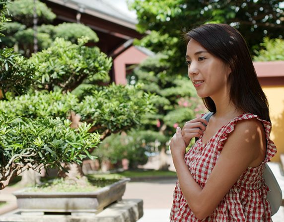 tienda-bonsais-valencia-1