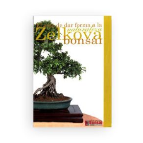 Guía Cuidado Bonsái Zelkova