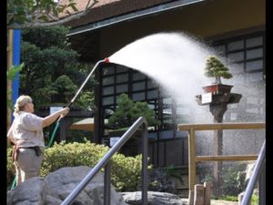 club bonsai alicante