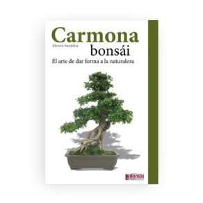 Guía Cuidado Bonsái Carmona