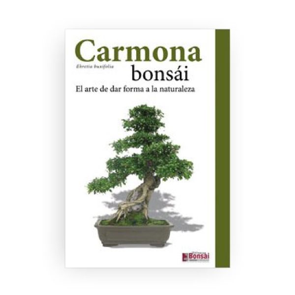 Guía Cuidado Bonsái Carmona