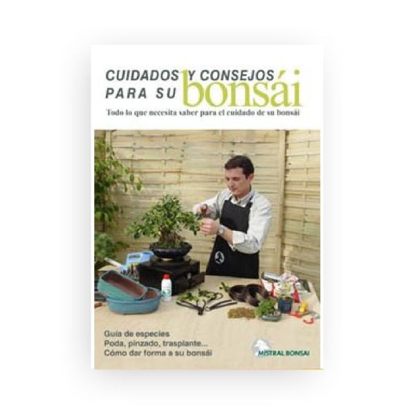 Guía Cuidado y Consejos para su Bonsái