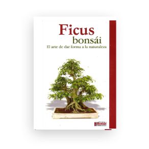 Guía Cuidado Bonsái Ficus
