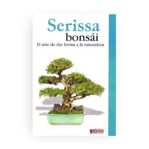 Guía Cuidado Bonsái Serissa