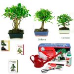 Pack Especial Pascuas 2017