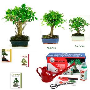 Pack Especial Pascuas 2017