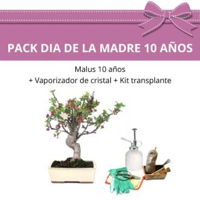 Pack-especial-dia-la-Madre-3