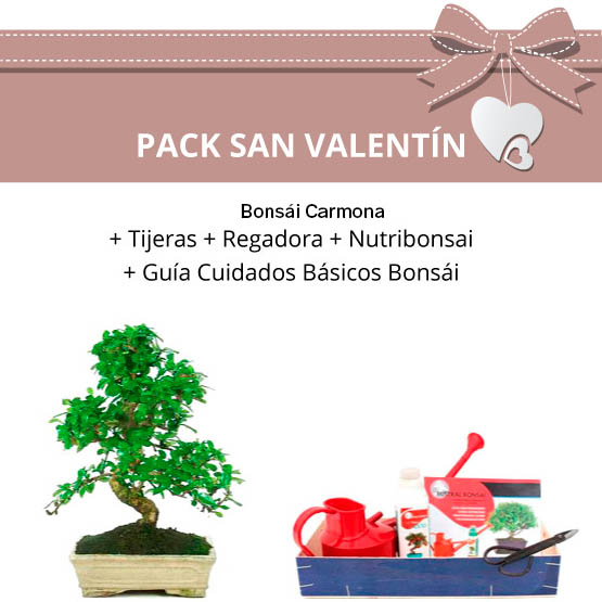 Pack San Valentin Carmona KIT
