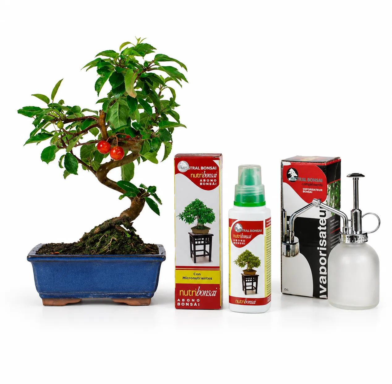 Pack Bonsái Malus 9 años con vaporizador y nutribonsai