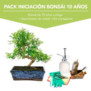 Pack Iniciacion Bonsai 10