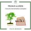 PACK-Bonsai-Prunus-14-anos-estuche-herramientas-completo
