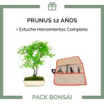 PACK-Bonsai-Prunus-14-anos-estuche-herramientas-completo