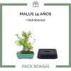 pack-bonsai-Malus-14-anos-hidrobonsai