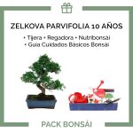 Pack-bonsai-Zelkova-Parvifolia-10-anos