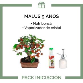 Pack-Iniciacion-Bonsai-9-anos