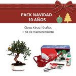 Pack-bonsai-citrus-kinzu