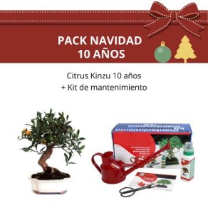 Pack-bonsai-citrus-kinzu