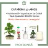 Pack-bonsai-carmona-microphylla-10-anos+plato