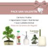 Pack-San-Valentin-Bonsai-10-anos-Carmona