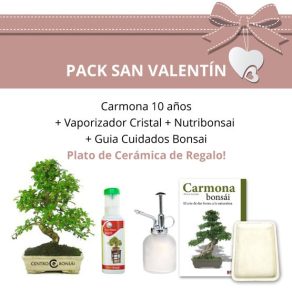 Pack-San-Valentin-Bonsai-10-anos-Carmona