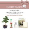 Pack-San-Valentin-Bonsai-10-anos-Ligustrum
