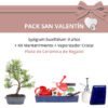 Pack San Valentin Bonsai 9 anos Syzigium Buxifolium