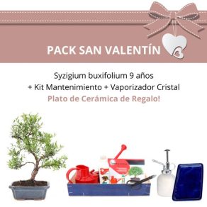 Pack San Valentin Bonsai 9 anos Syzigium Buxifolium