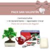 Pack-San-Valentin-Bonsi-8-anos-Carmona