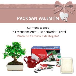 Pack-San-Valentin-Bonsi-8-anos-Carmona