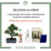 Pack-bonsai-Zelkova-10-anos