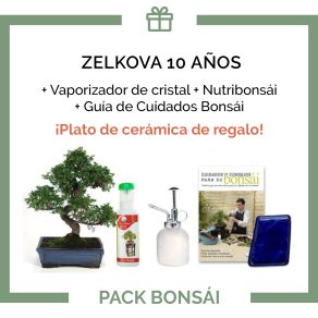 Pack-bonsai-Zelkova-10-anos