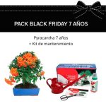 PACK-BLACK-7-PYRACANTHA