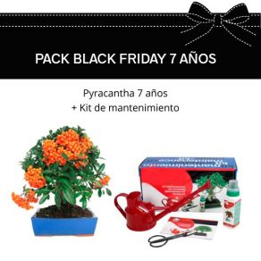 PACK-BLACK-7-PYRACANTHA